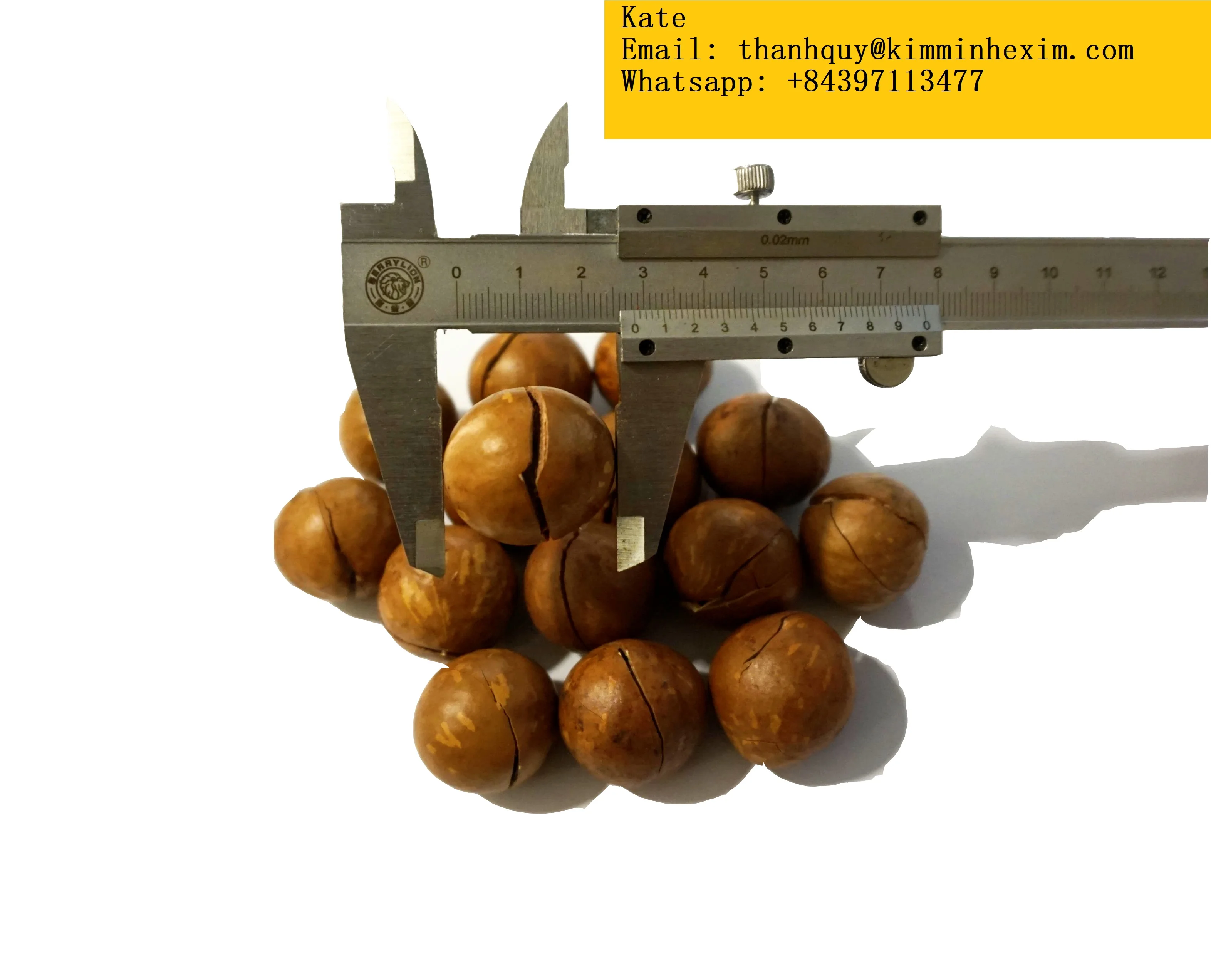  Rich in nutritional value delicious macadamia nuts origin Vietnam