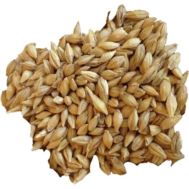 Bulk Malted Barley, Barley Grain Ready For Export!! (10000007641464)