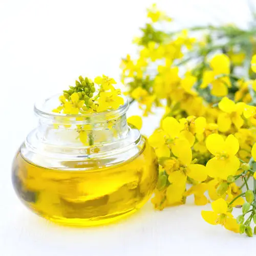 
Wholesale Canola Oil Rapeseed Oil Bulk Canola Oil for Sale Gift Mason Bottle Glass Packing Packaging Plastic Jar Origin Vacuum 
