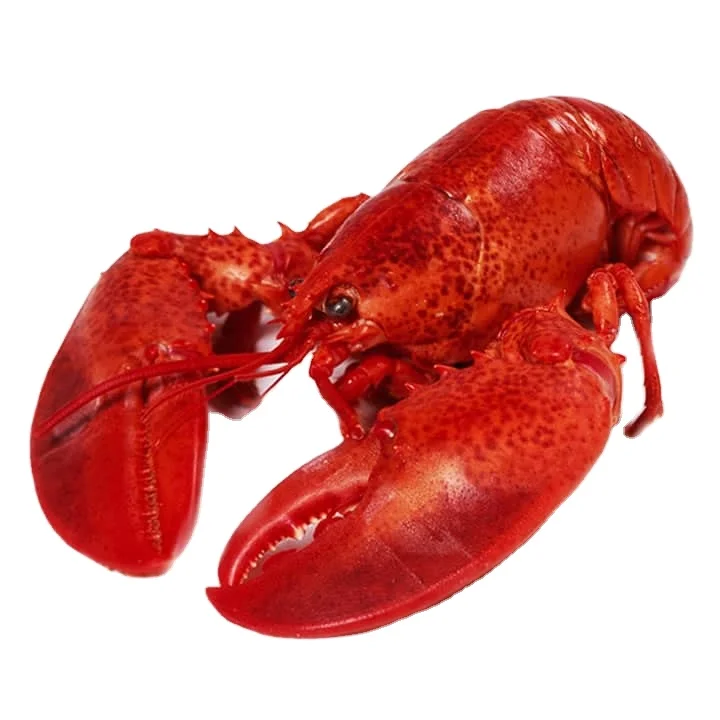 Natural Health Food Frozen Seafoods Shelf Life 12 Months Red Blue Brown Swimming Quality King Crab Legs For Sale