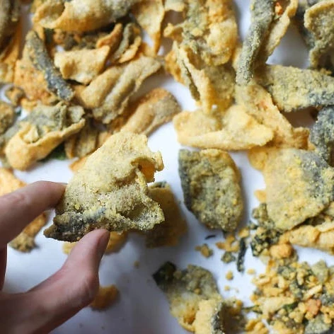 100% натуральная рыбья кожа BASA с солеными яйцами производитель MS. ELAINE + 84 375 431 541 (WHATSAPP)