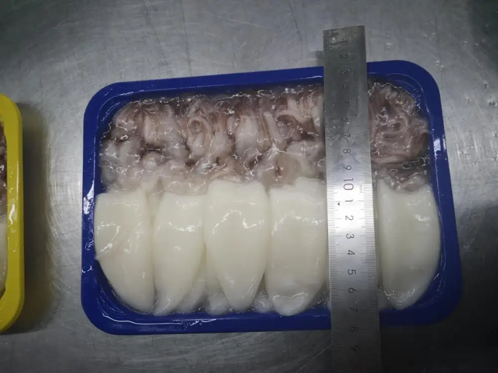 
Loligo Duvauceli (Whole round) 