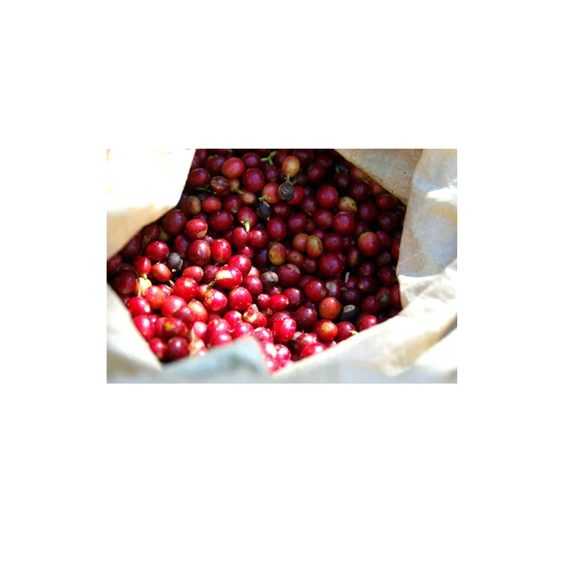 1 килограмма, кофейный Тип Премиум-Качества, жареные кофе-зерна Robusta, экспорт из Вьетнама