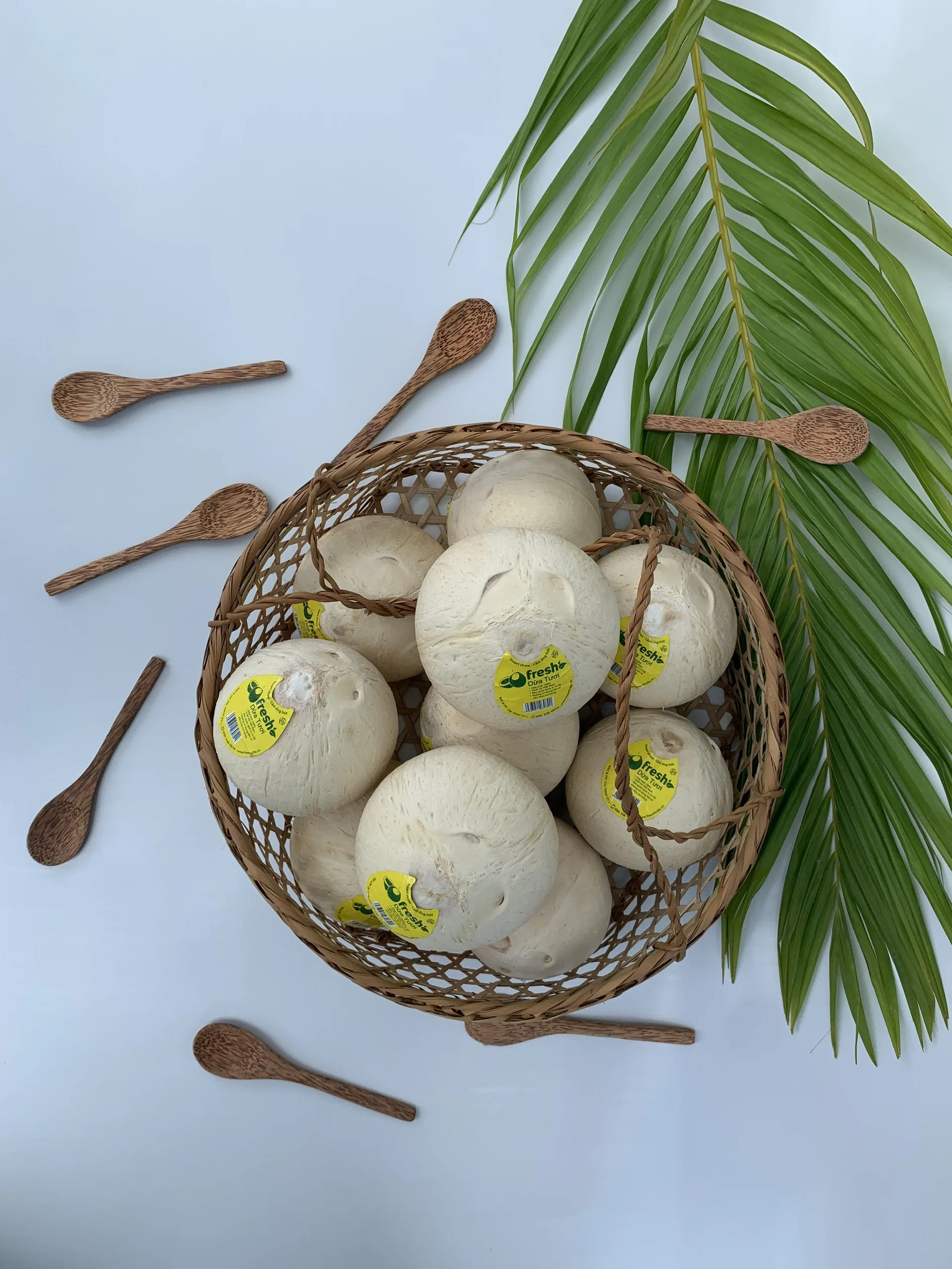 
Wholesale Bulk Cheap Price 100% Natural Fresh Convenient Coconut From Vietnam 