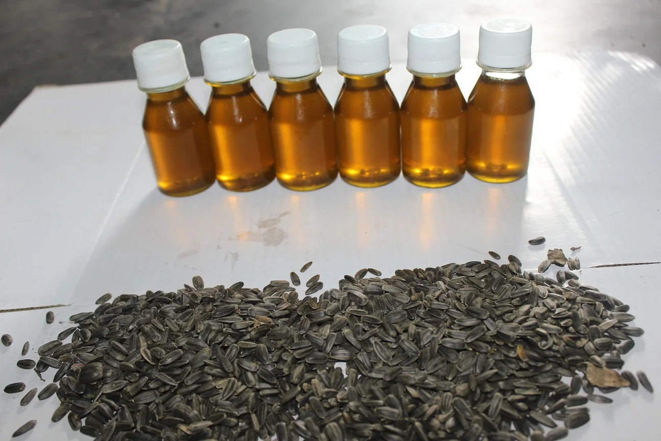 SUNFLOWER SEED BANGLADESH