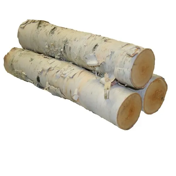 
Birch Logs for the Production of Peeled Veneer (Veneer Log) 