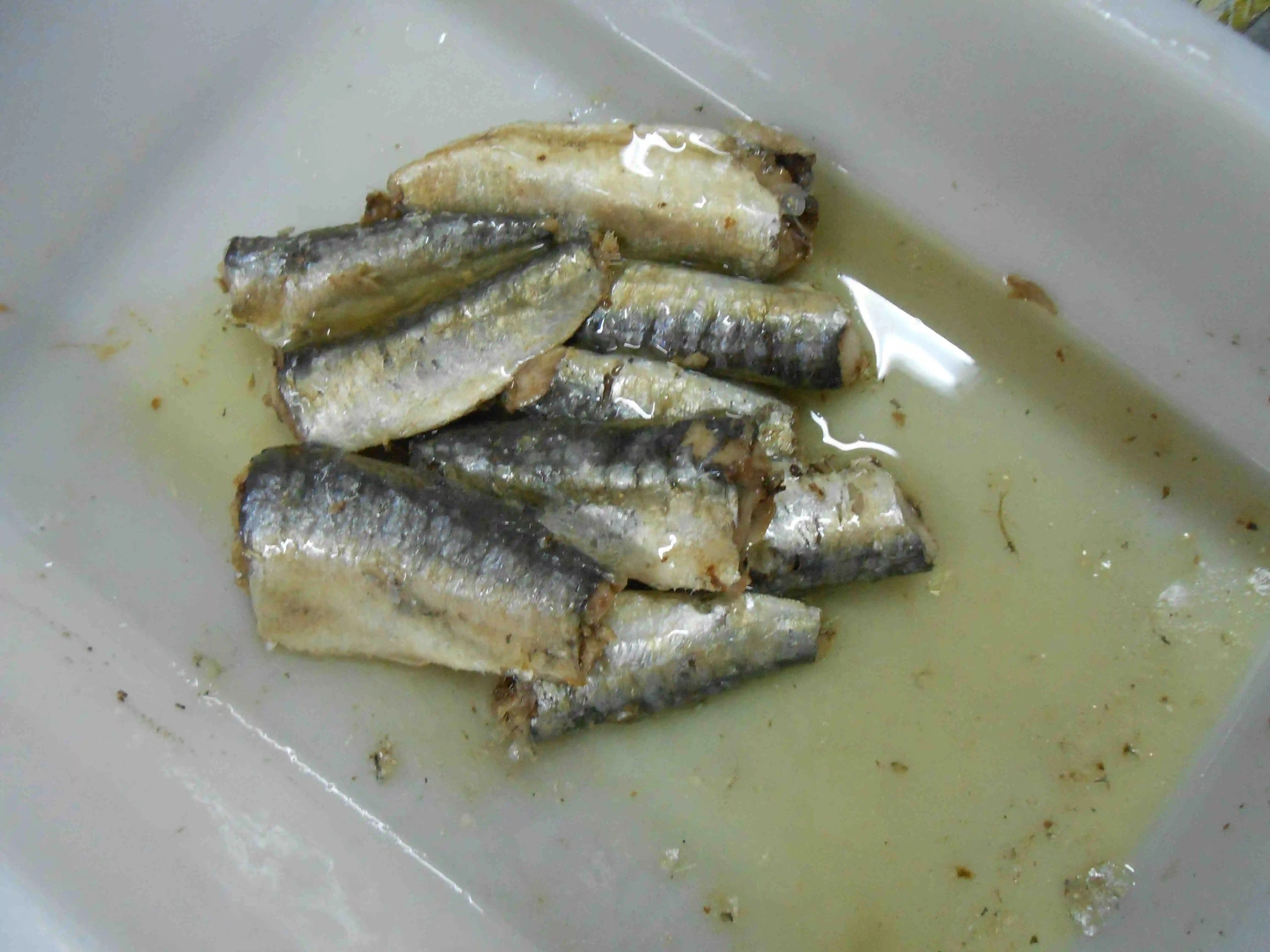 sardine-987.jpg