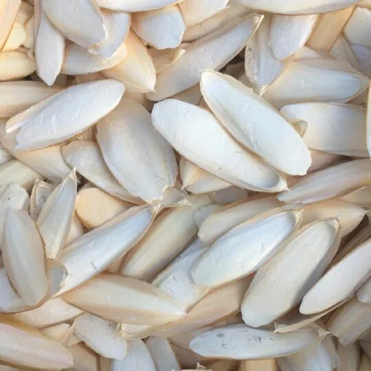 Лучшая цена на кости для корма птиц и лекарств