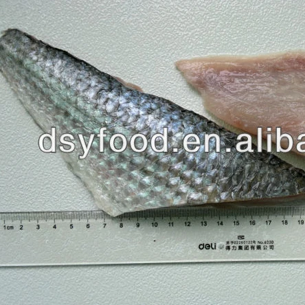Frozen grey mullet fillet