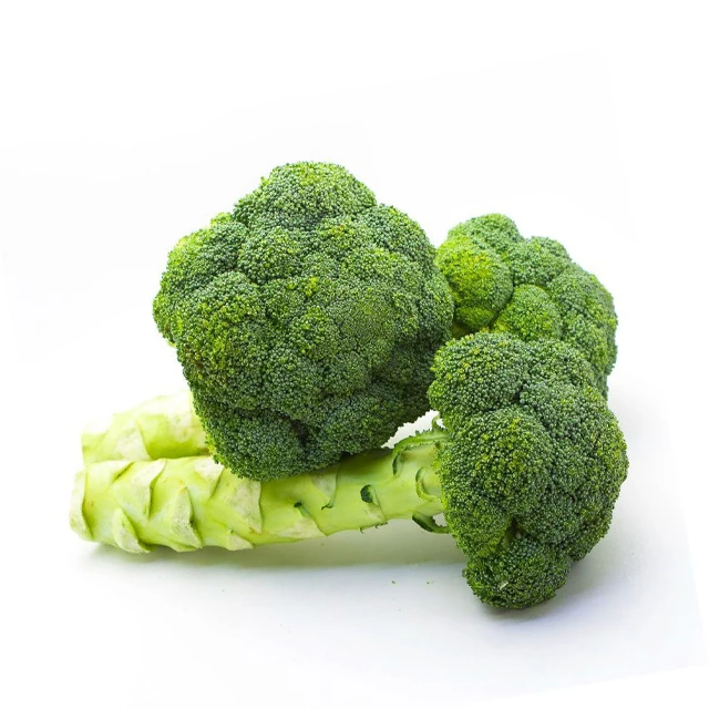 Fresh Broccoli /Cheap price and quick response with high quality and carefully packaged
