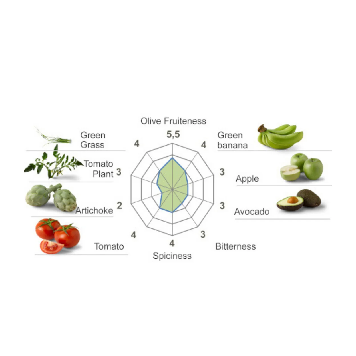 Spanish Extra Virgin Olive Oil   Premium   HARMONY   3L