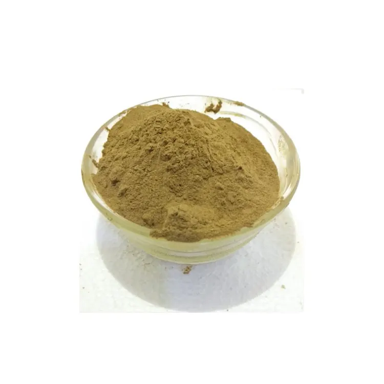 Private Label Manufacturer Selling 100% Pure Tart Cherry Extract Powder at Lowest Price with 24 months Shelf Life