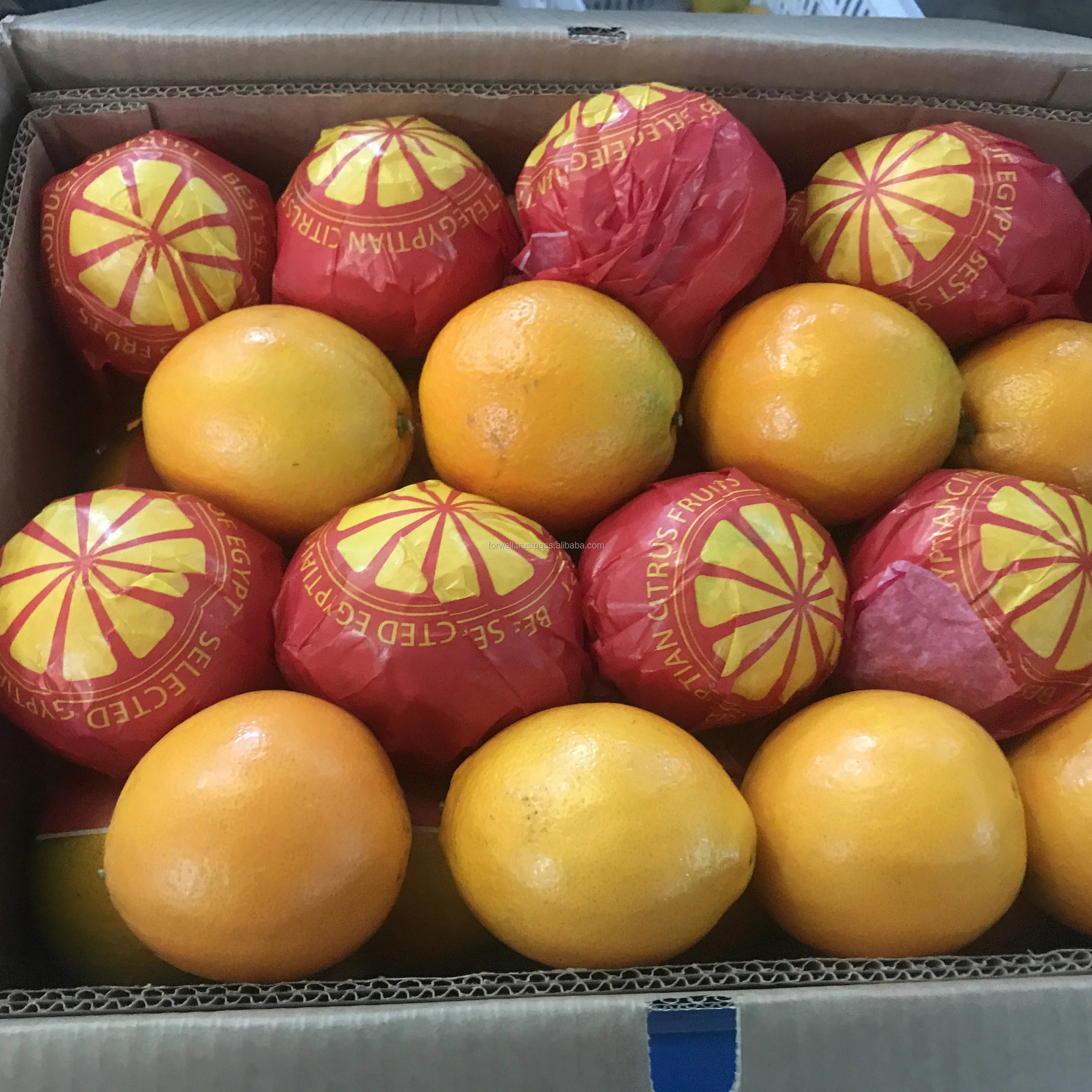 AT SUITABLE PRICES EXPORTING ALL TYPES EGYPTIAN  CITRUS ORANGE