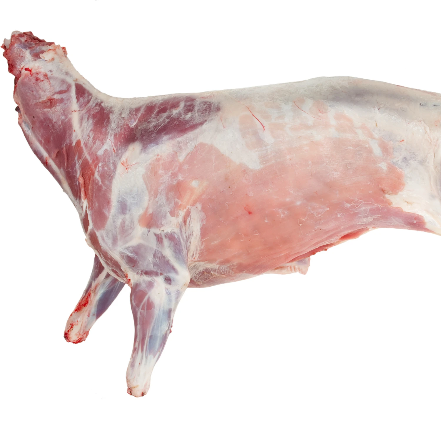 Frozen Mutton Meat Lamb.jpg
