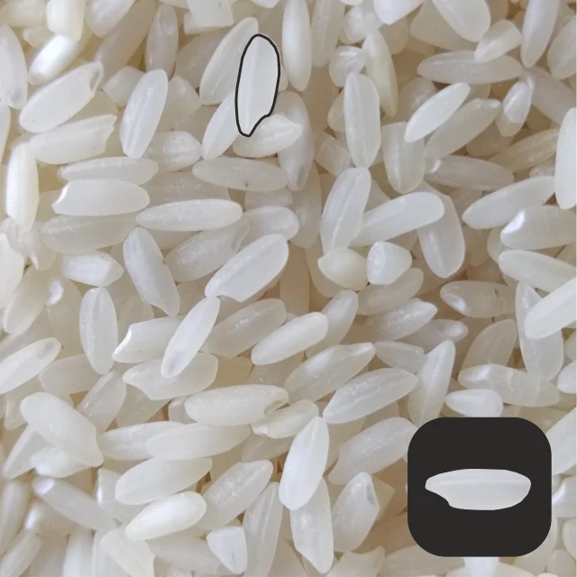 
Medium Grain White Rice in 25kg bag 