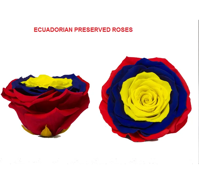 ROSAS