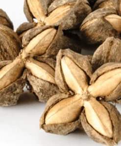 Roasted SACHA INCHI NUT / Toasted Sacha inchi nut Peru