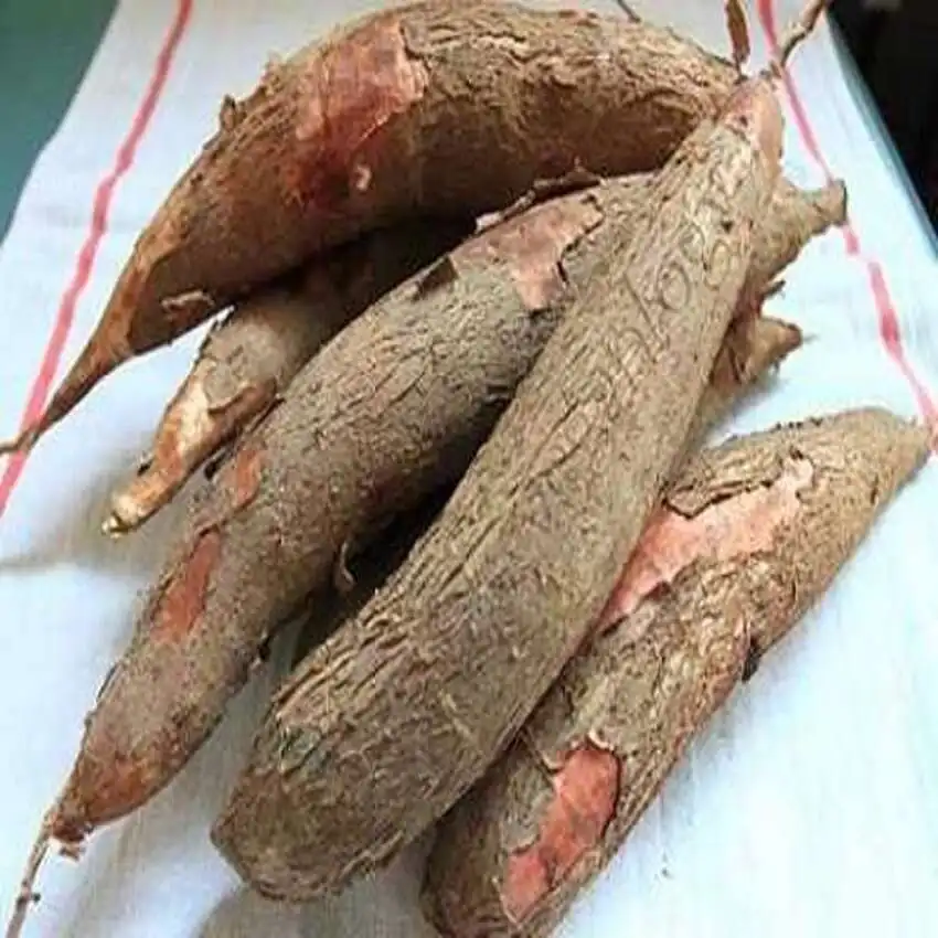 Свежие клубни кассавы/свежие касавы