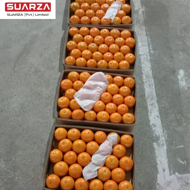 Pakistan sweet sand sugar oranges nanfeng mandarin/mashui mandarin