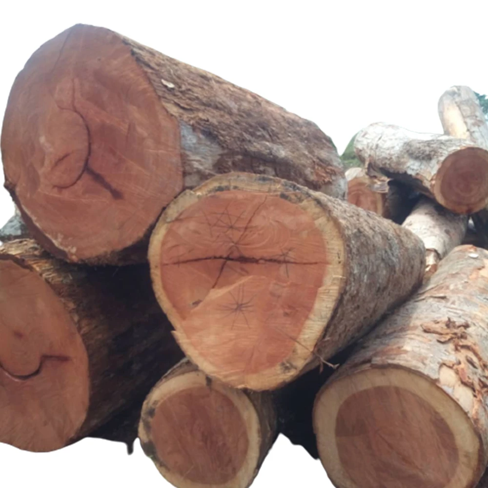 Papao or Afzelia Logs High Quality Afzelia Wood Logs Teak Timber