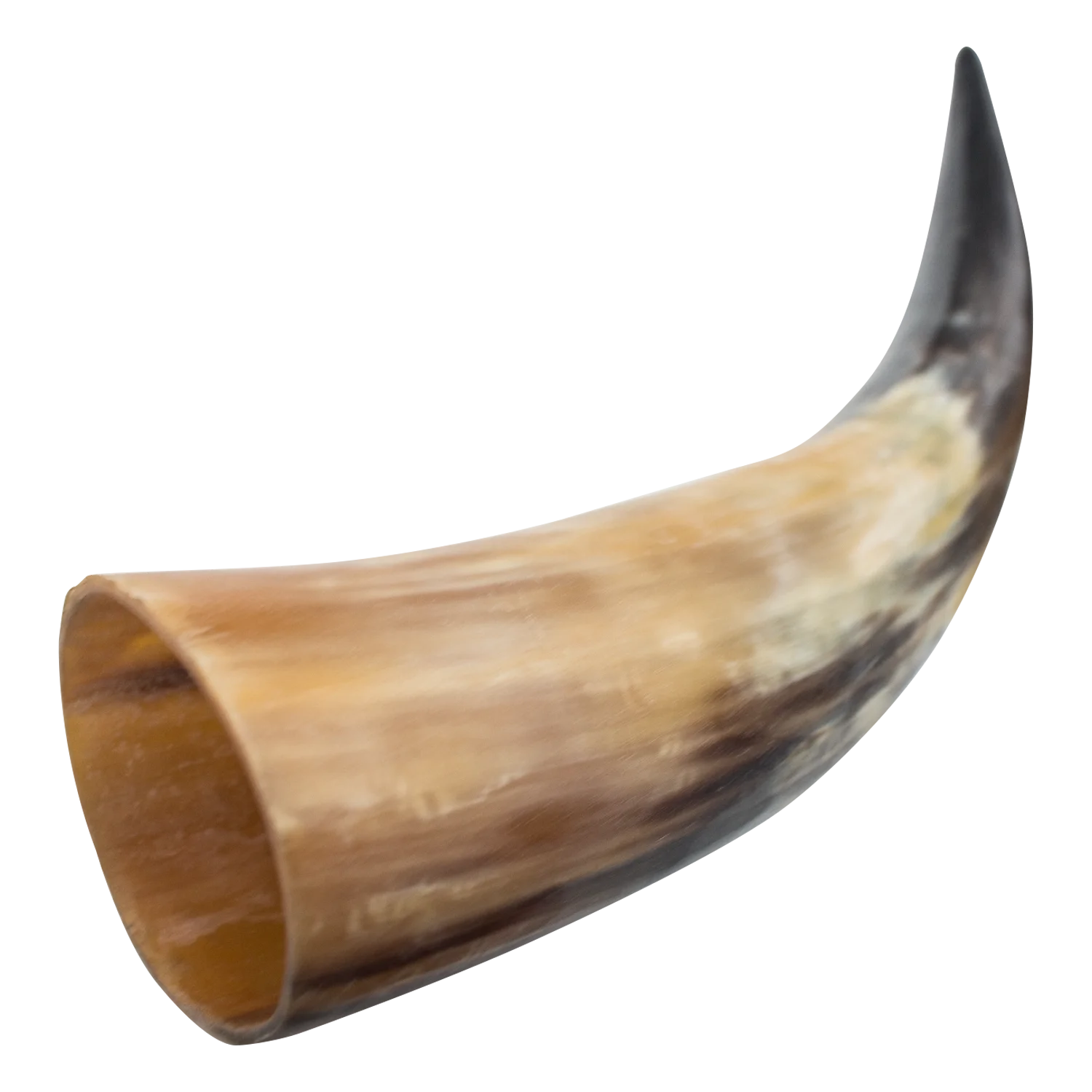Buffalo/ox /cow Raw Horn for Decoration Manufacturing India IN;34648 Polished Vintage Rw00008 Animal Organic Material