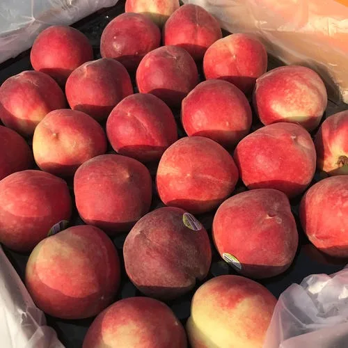 Натуральный Свежий Камень фрукты класса А свежие персики