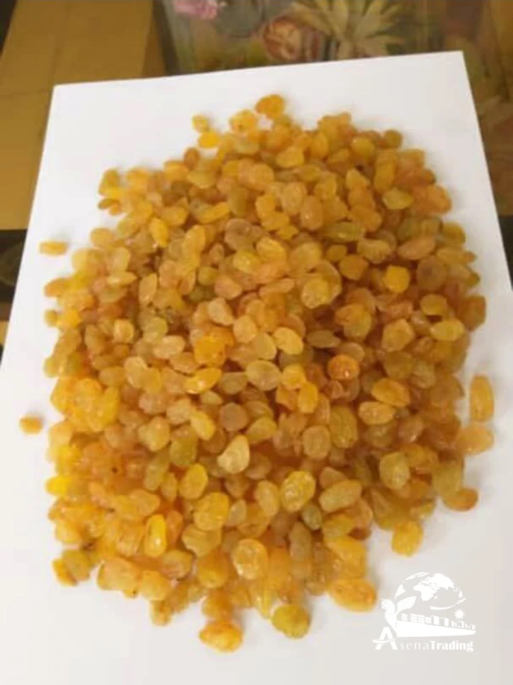 Top Quality raisin/currant red green black gold wholesale healthy food hot product
