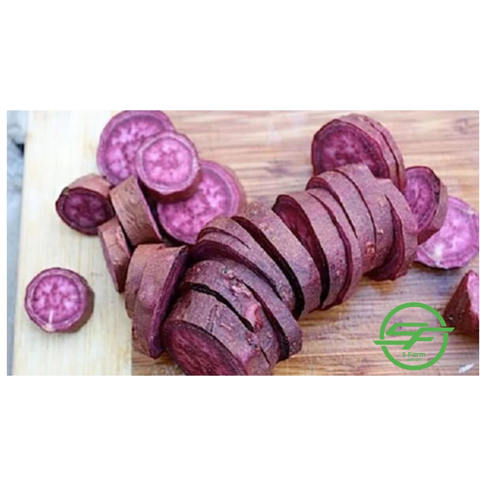 Высококачественный Экологически чистый фиолетовый свежий сладкий картофель из Вьетнама