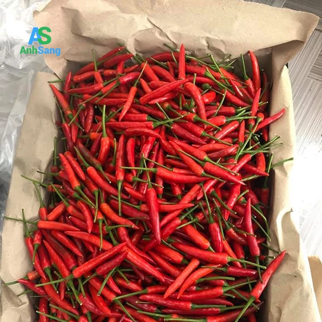 
Good Quality Fresh Chili Keep For A Long Time 