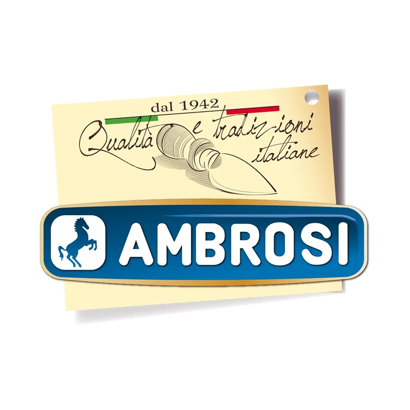 BEST QUALITY MADE IN ITALY CHEESE RESERVE 23 MONTHS HOT SALE