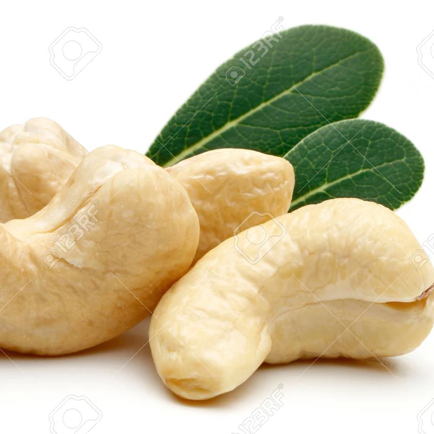 Cashew Nuts Cashew W180 W240 W320 W450