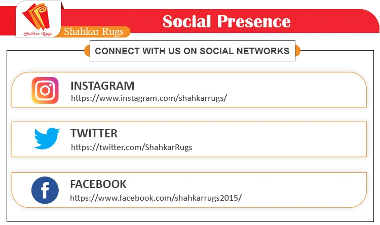 Social-Network.jpg