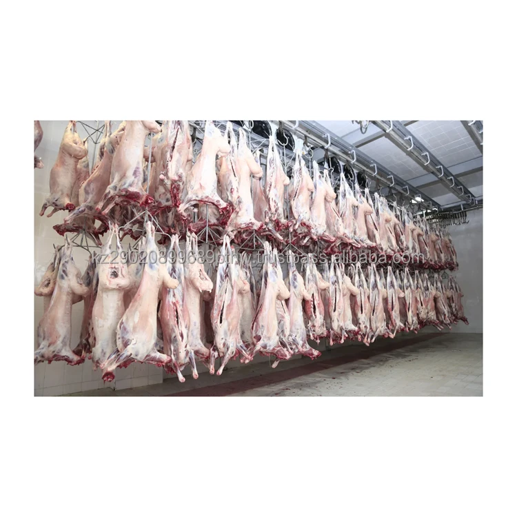 New arrival sheep meat vacuum are grown in ideal conditions and consume only natural feed halal sheep meat