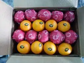 A1 Duper Orange 2021