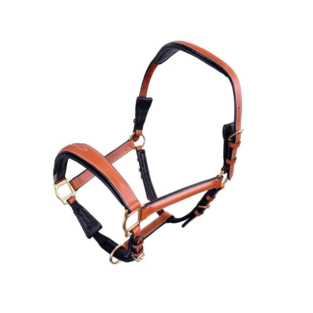 Colorful Padded Leather Luxury Style Horse Halter Head Collar