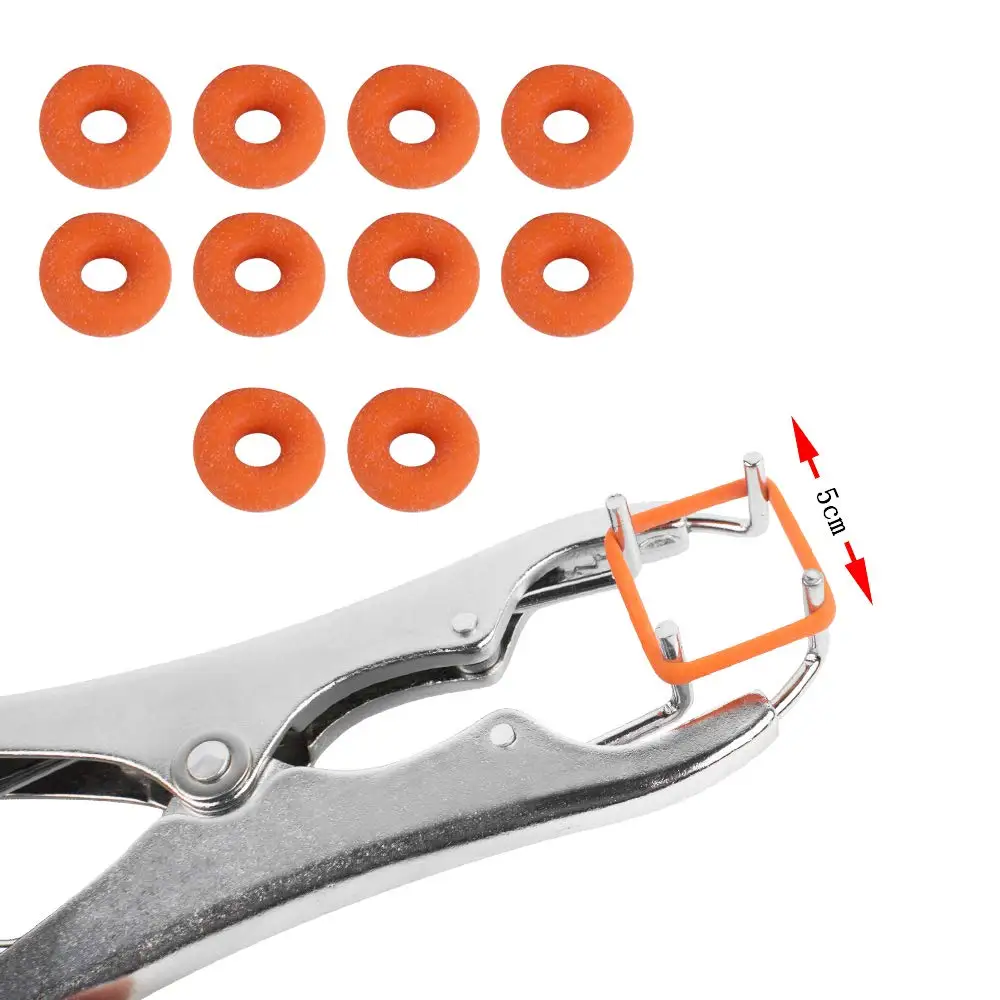 Stainless Steel Castration Banding Tail Dock Cattle Sheep Goat Puppy