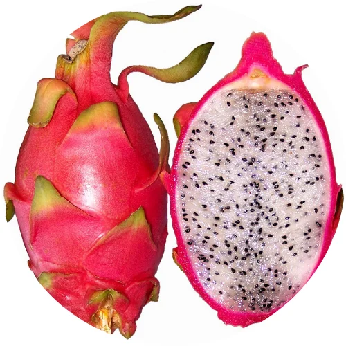 Свежий фрукт дракона для продажи экспорт из Вьетнама-премиальное качество-MS. Lona + 84 793515068 ( Whatsapp)