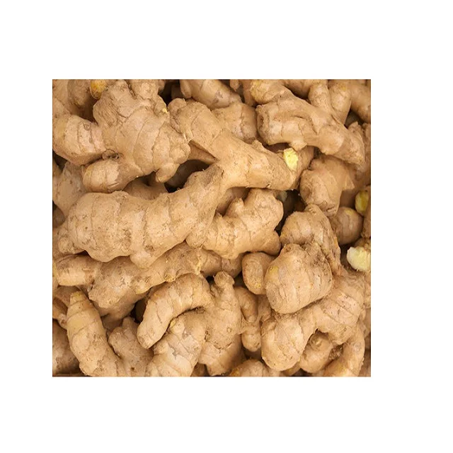 Wholesale organic fresh ginger cheap price high quality from Vietnam newest crop free tax jengibre fresc to EU Ukraina Korea