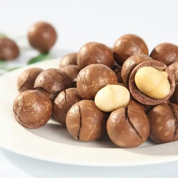 Vietnamese Dried Macadamia Nuts with Shell Best