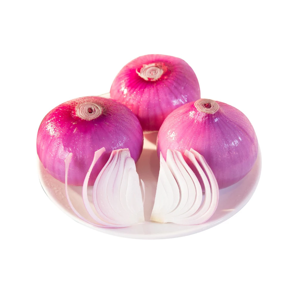 Top Quality fresh organic onions whloesalers Fresh Red Onion