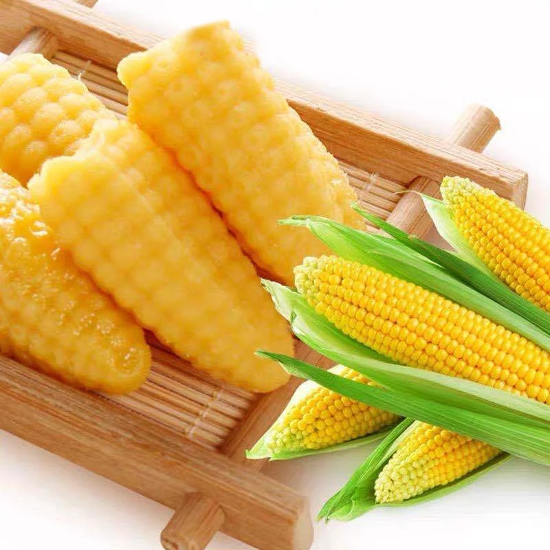 Chinese Candies wholesale corn shaped sweets soft gummy candy