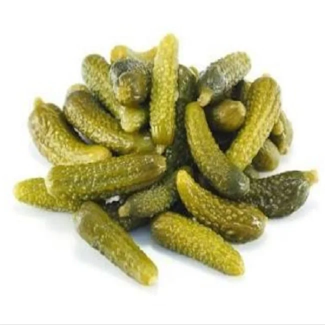 Preserved Cucumber/Gherkins Grade 9-12 CM /Cornichons/ Preserved in Acetic Acid in Barrels Best Indian Gherkins
