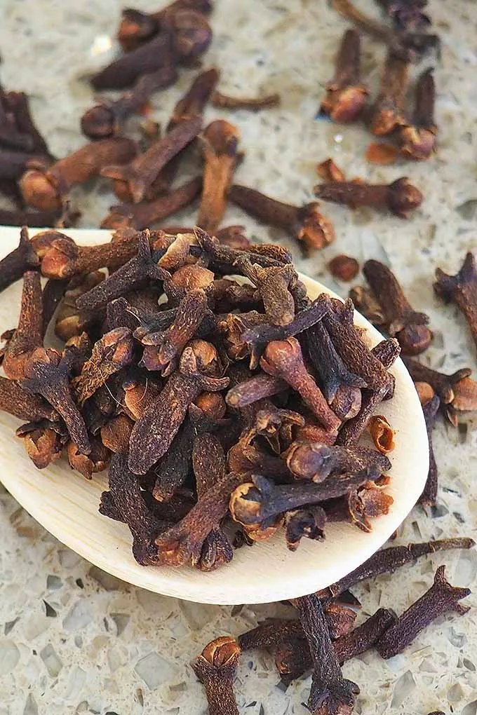 Wholesale Best Quality Cloves Stem Spices For Sale In Cheap Price