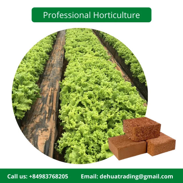 Famous Brand Bentre Coconut Coir in Vietnam Coco Peat Brick 5KG Customizable with Affordable Price