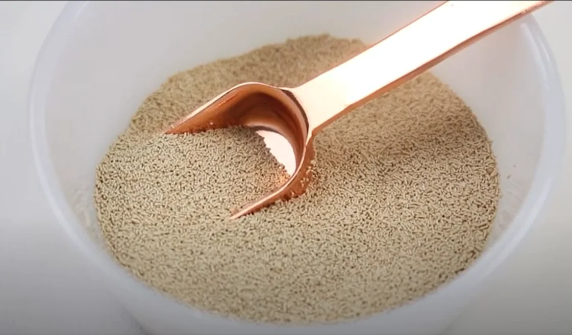  high quality dry yeast