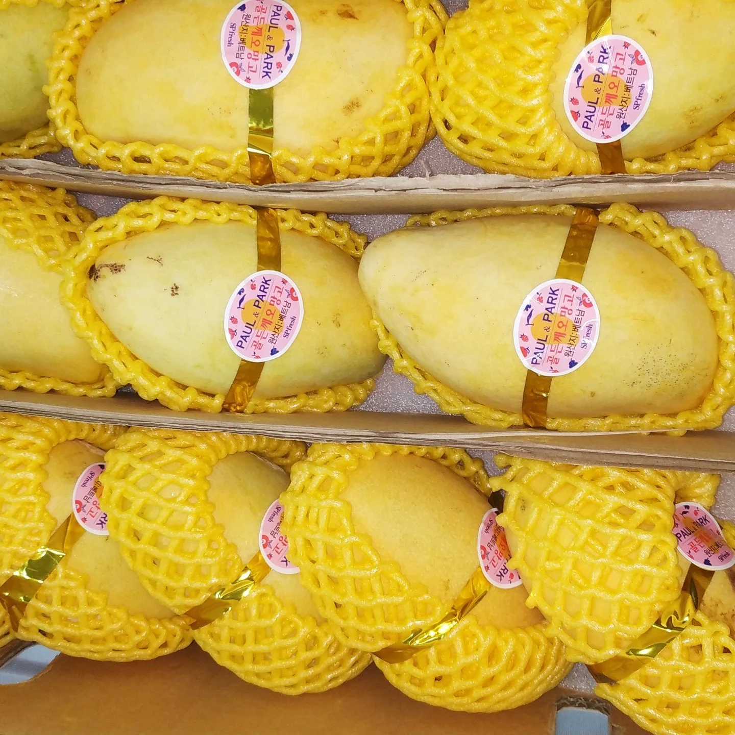 Тропические фрукты, свежий сладкий и кислый сочный зеленый Keo манго, оптовая продажа