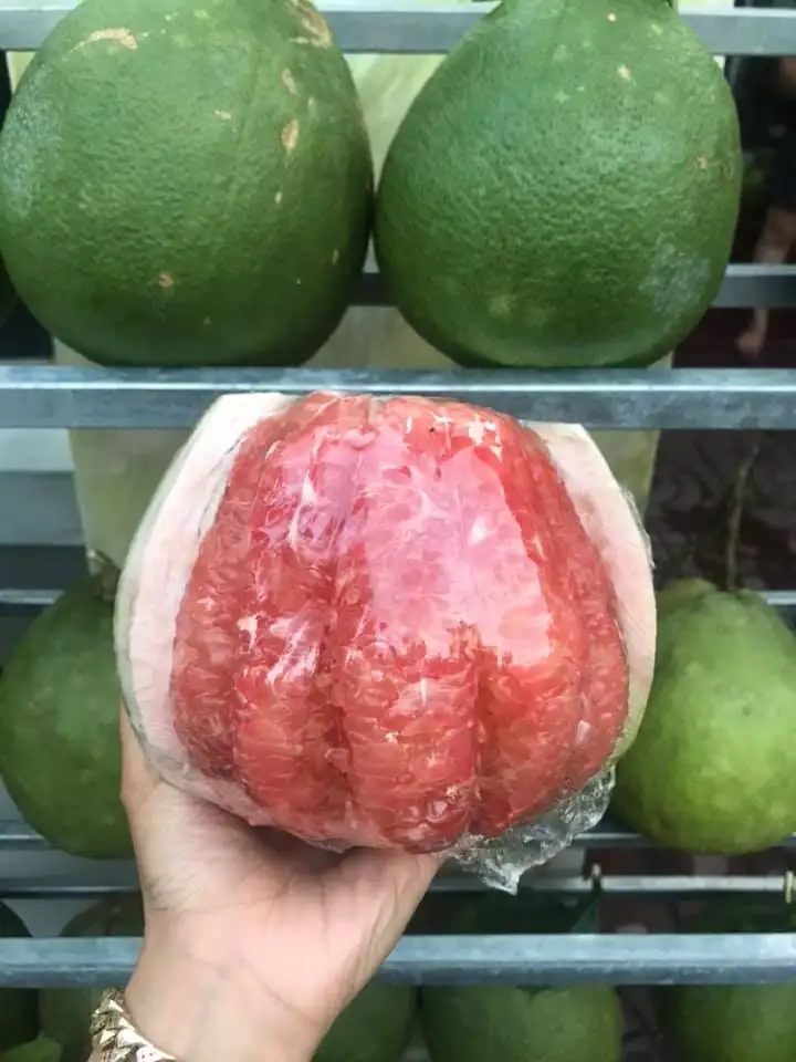 Citrus Fruit Type 100% Maturity High Quality Fresh Grapefruit From Vietnam