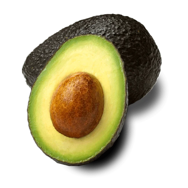 Premium Quality Best Grade 100% Pure Avocado Grain Seller From India