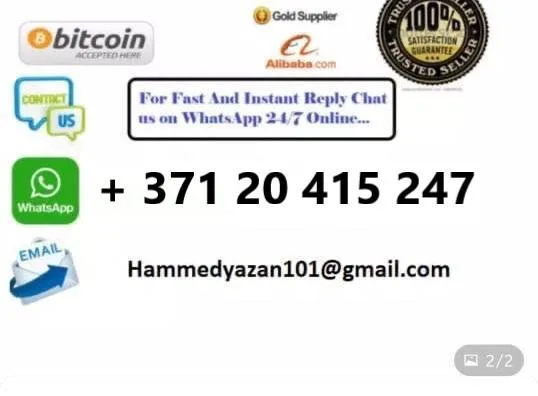 ** Предложение Новинка 200cc снегоходы для детей снегоход Снежный автомобиль на продажу