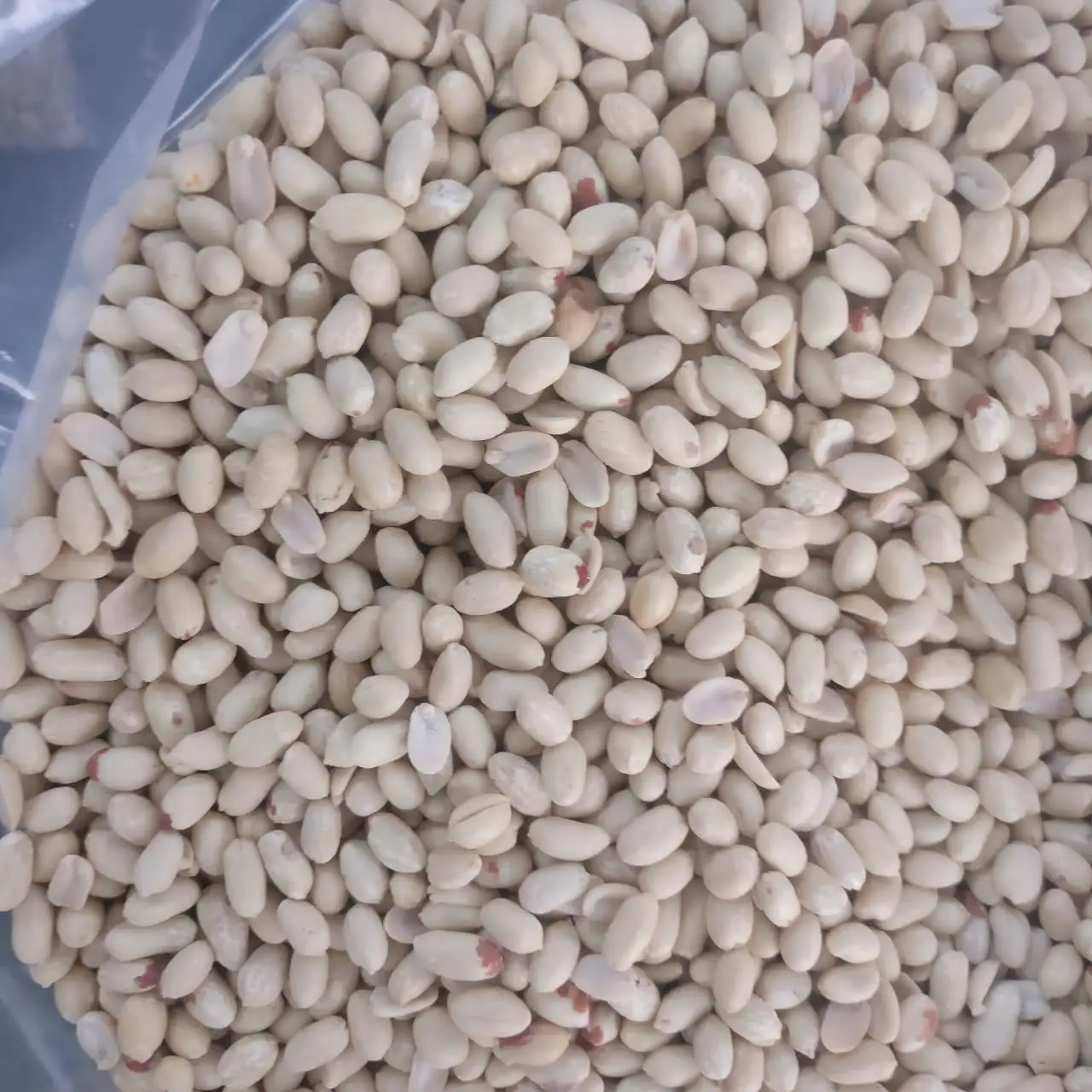 
Blanched peanut whole high quality india origin 40/50 , 50/60 roasted or blanched peanut whole 